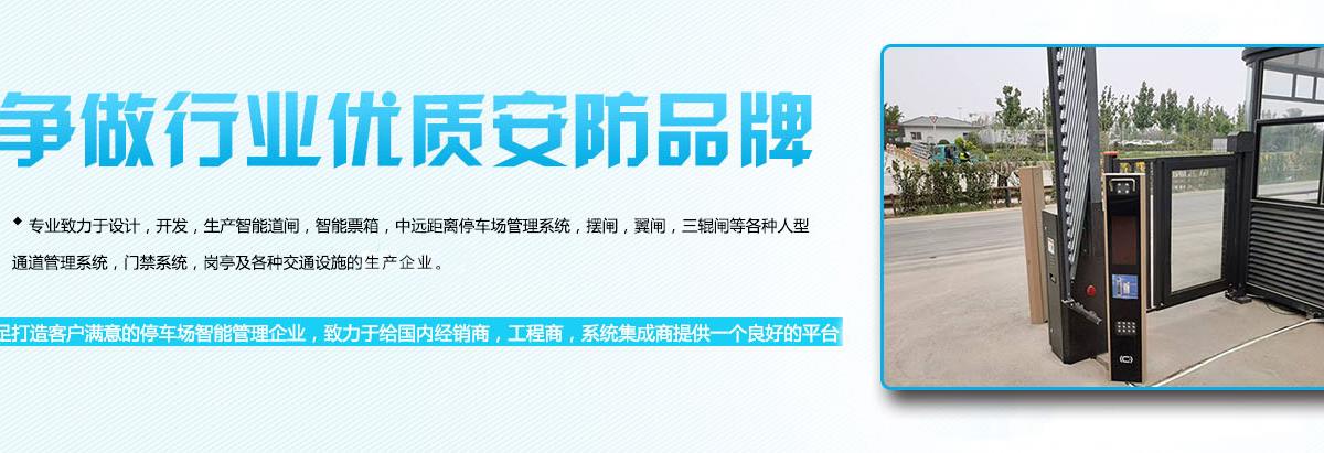 山东三辊闸厂家,济南摆闸价格,定做翼闸厂家
