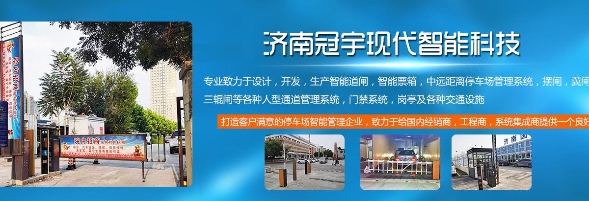 山东三辊闸厂家,济南摆闸价格,定做翼闸厂家
